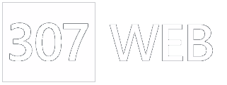 307WEB Logo